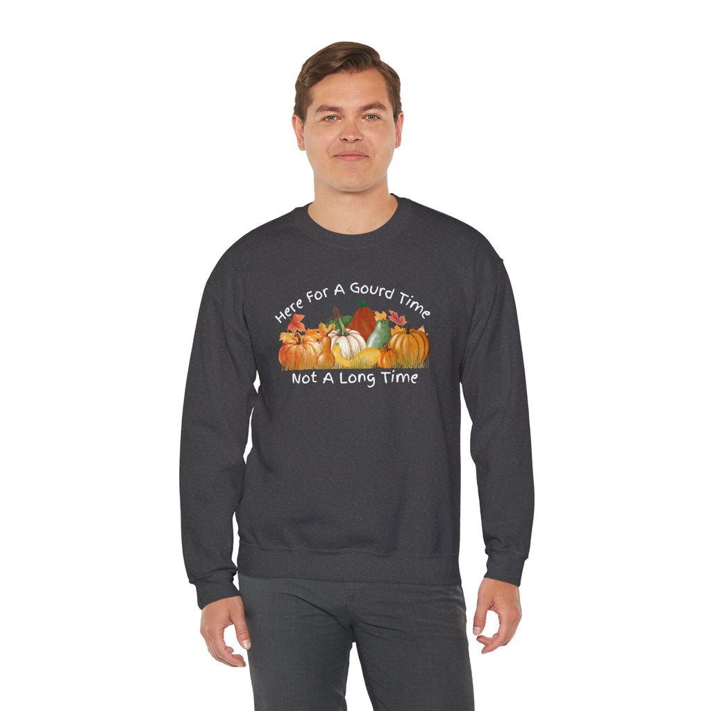 Here for a Gourd Time fall pumpkin crewneck — product photo 22