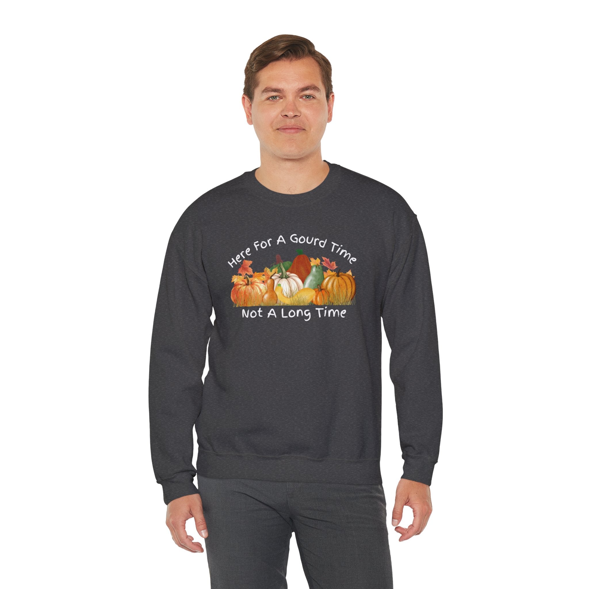 Here for a Gourd Time fall pumpkin crewneck — product photo 22