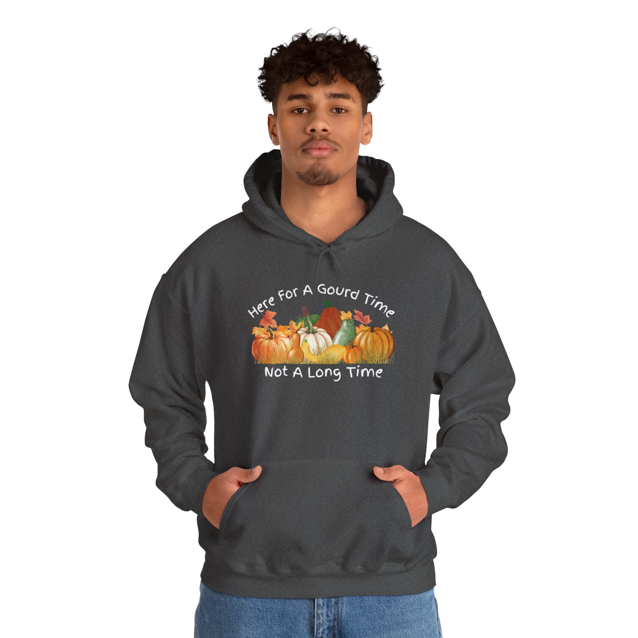 Here for a Gourd Time pumpkin hoodie — product photo 21