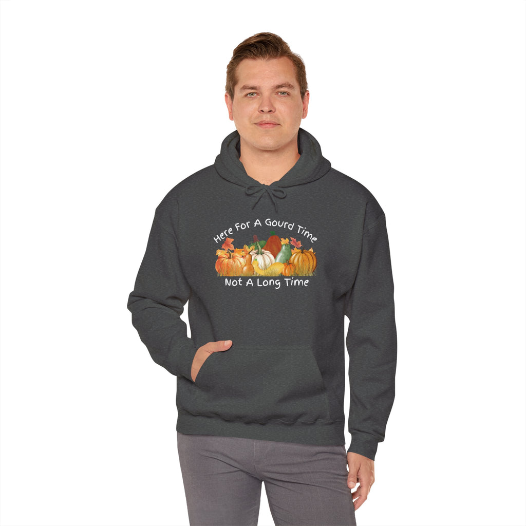 Here for a Gourd Time pumpkin hoodie — product photo 23