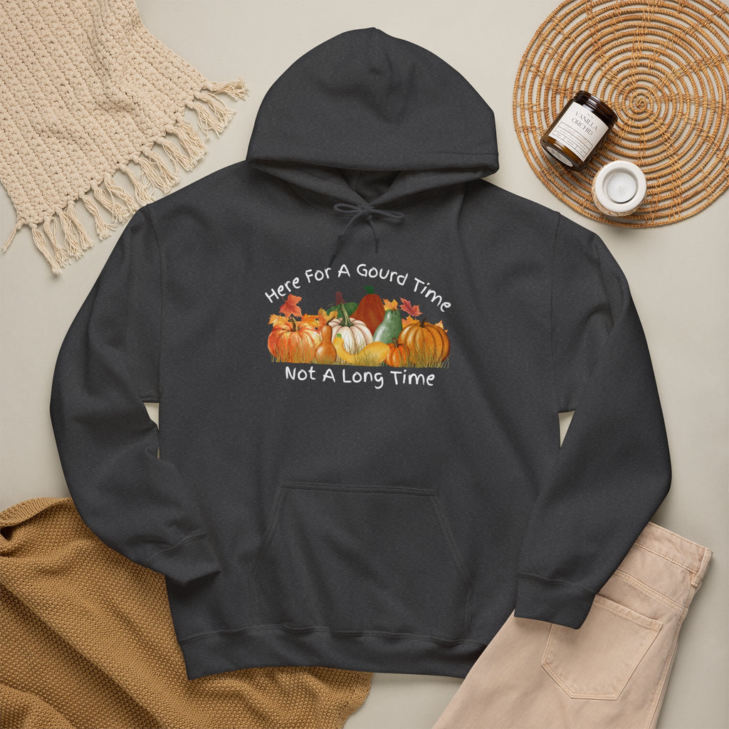Here for a Gourd Time pumpkin hoodie — product photo 18