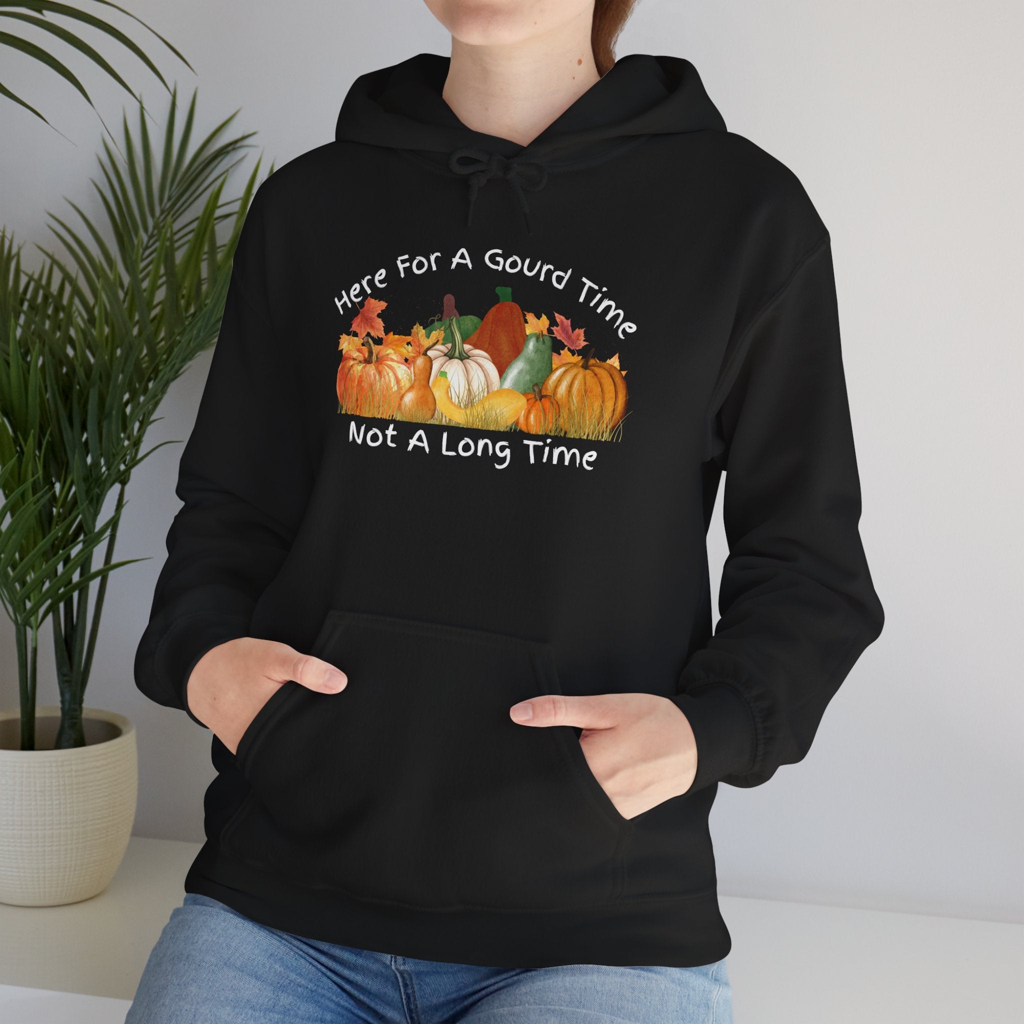 Here for a Gourd Time pumpkin hoodie — product photo 13