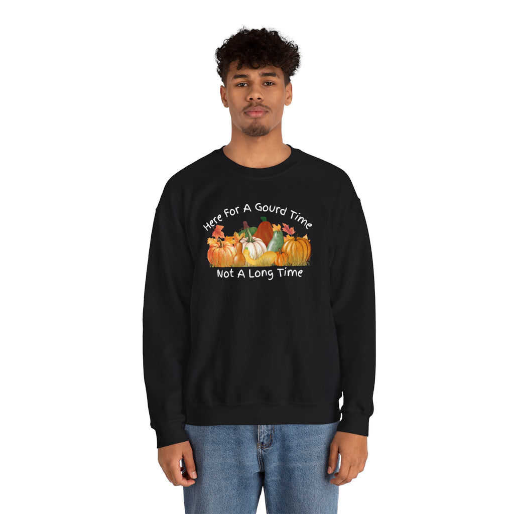 Here for a Gourd Time fall pumpkin crewneck — product photo 9