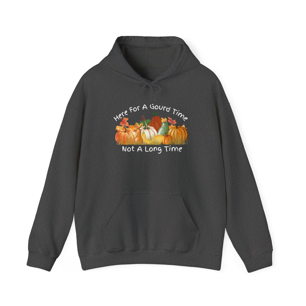 Here for a Gourd Time pumpkin hoodie — product photo 2, dark heather or black colorway