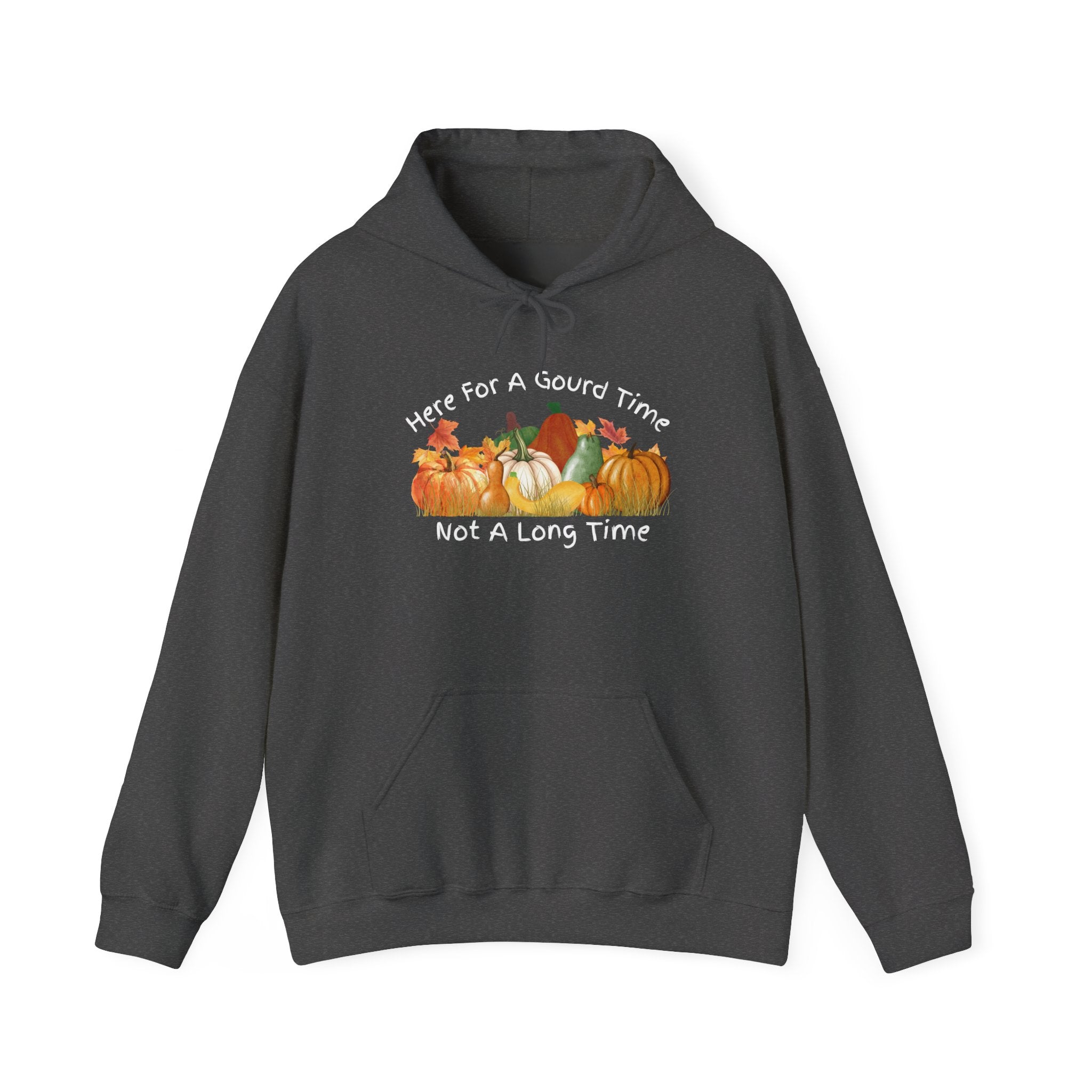 Here for a Gourd Time pumpkin hoodie — product photo 2, dark heather or black colorway