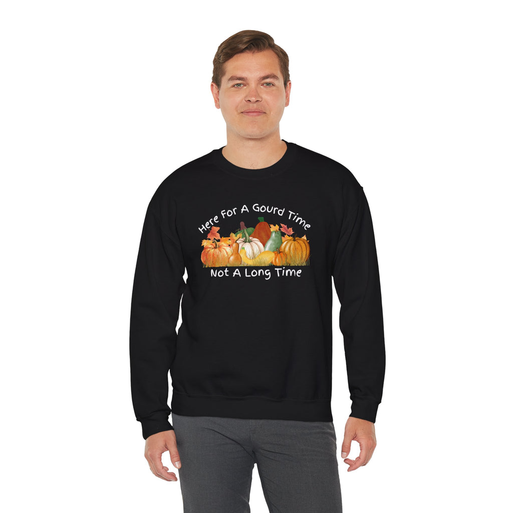 Here for a Gourd Time fall pumpkin crewneck — product photo 10