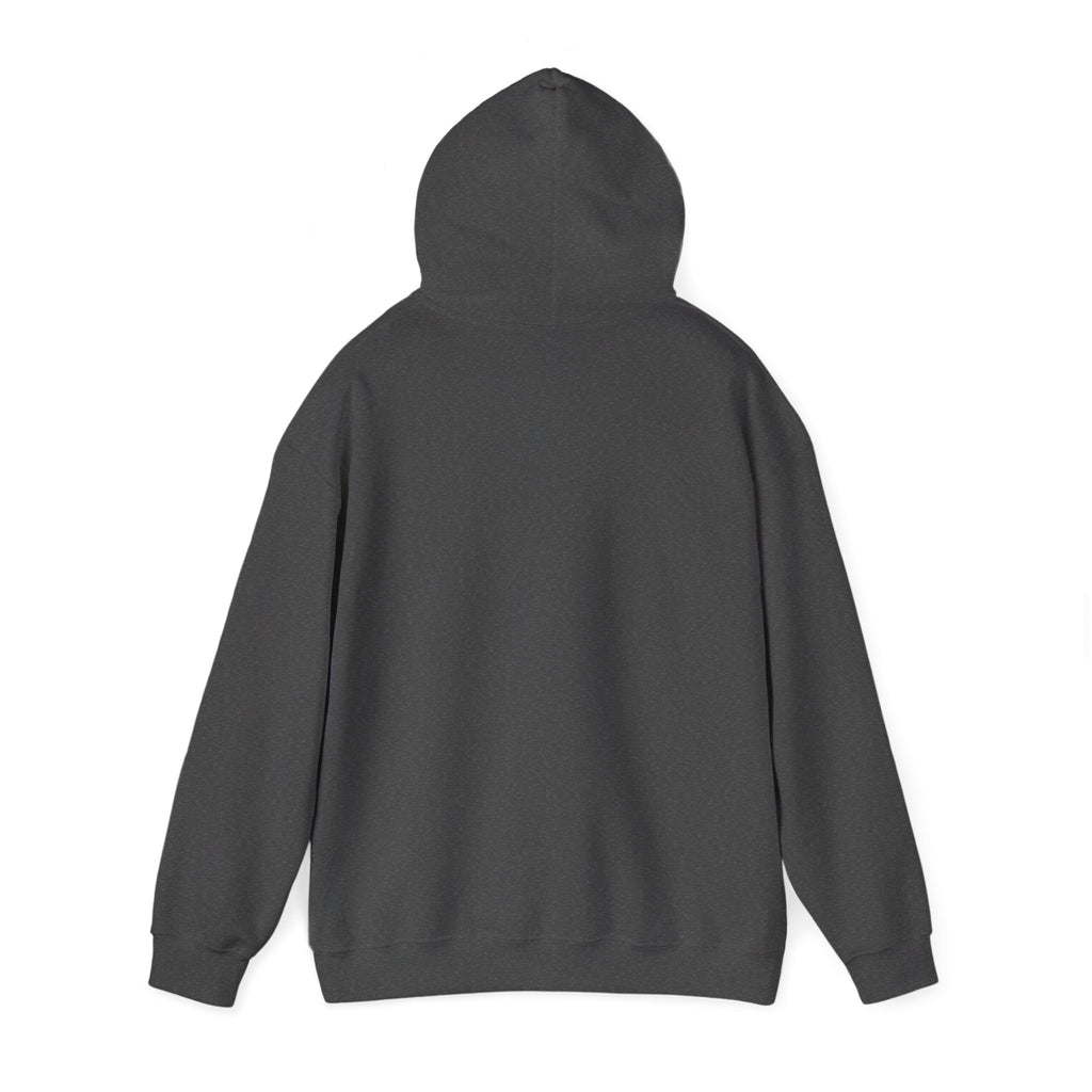 Here for a Gourd Time pumpkin hoodie — product photo 15