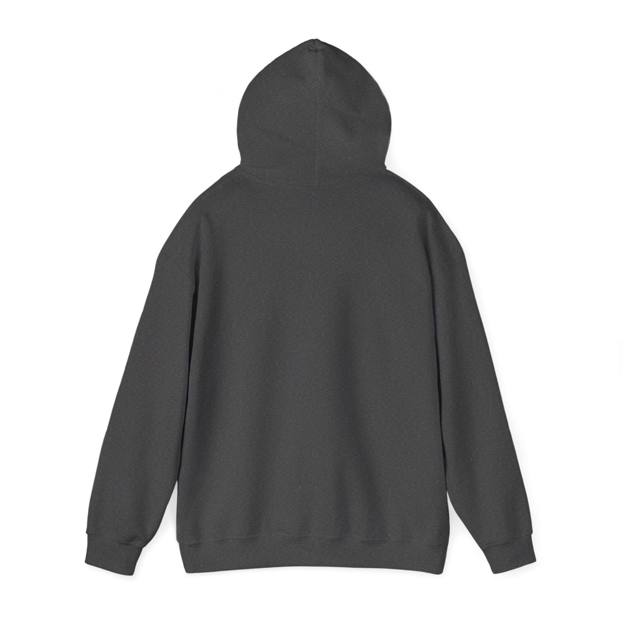 Here for a Gourd Time pumpkin hoodie — product photo 15