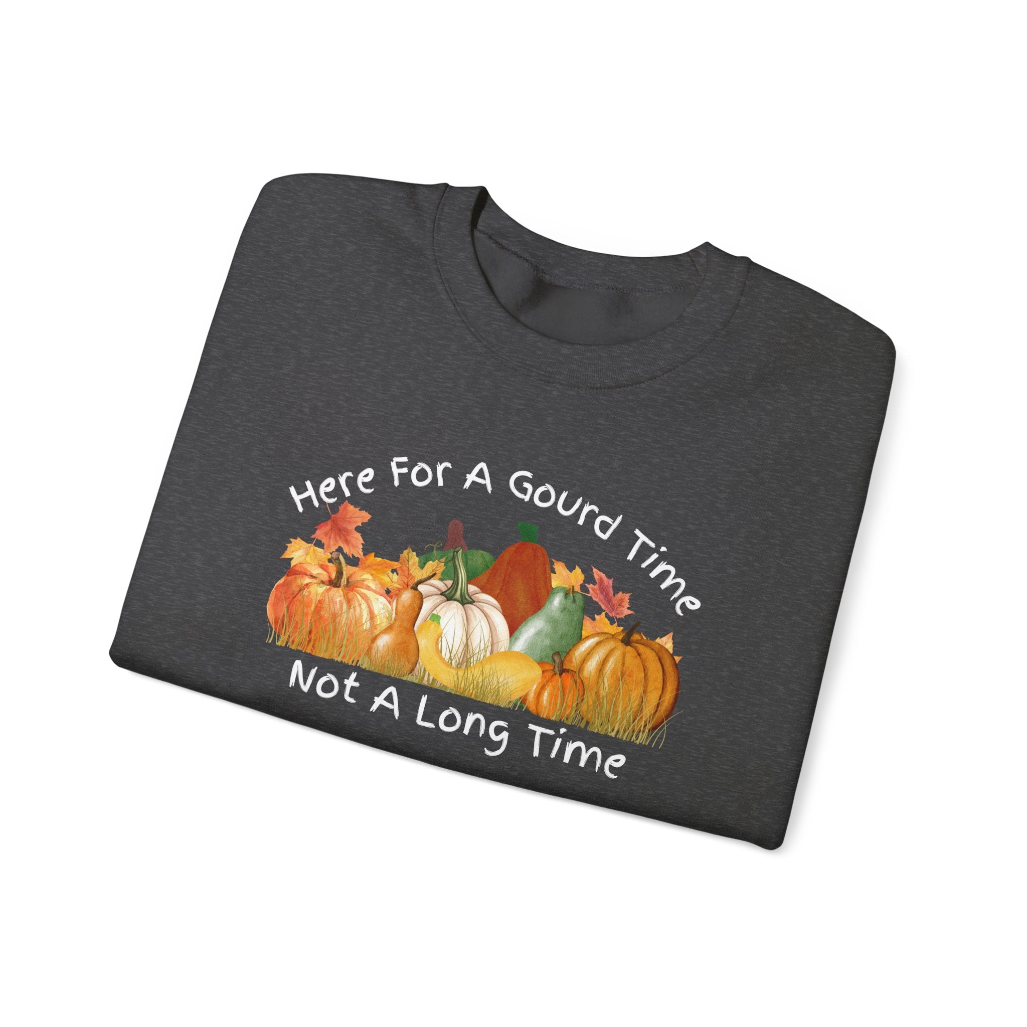 Here for a Gourd Time fall pumpkin crewneck — product photo 16