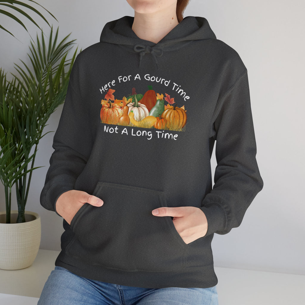 Here for a Gourd Time pumpkin hoodie — size chart