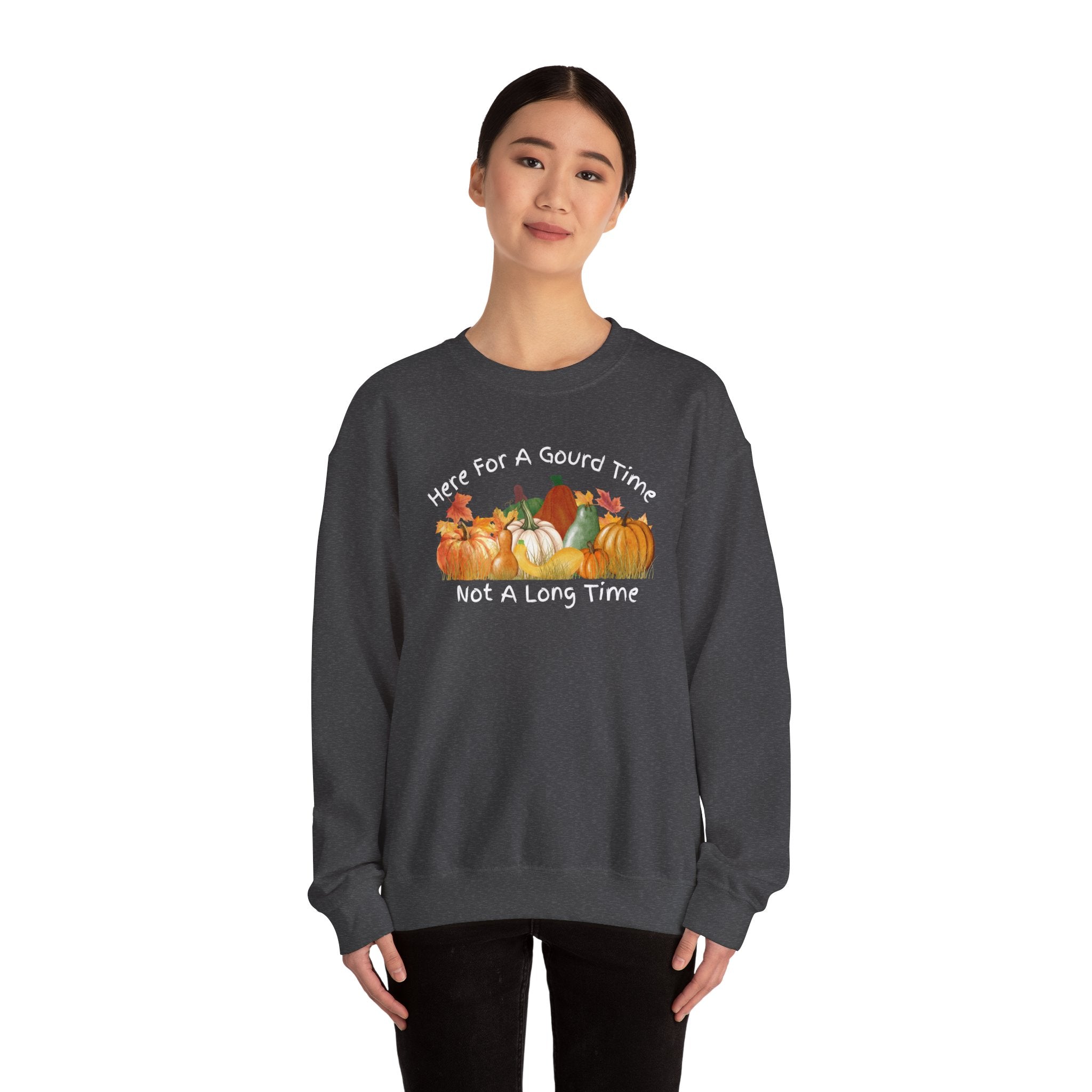 Here for a Gourd Time fall pumpkin crewneck — product photo 20