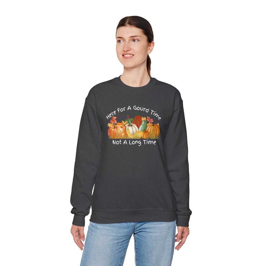 Here for a Gourd Time fall pumpkin crewneck — product photo 23
