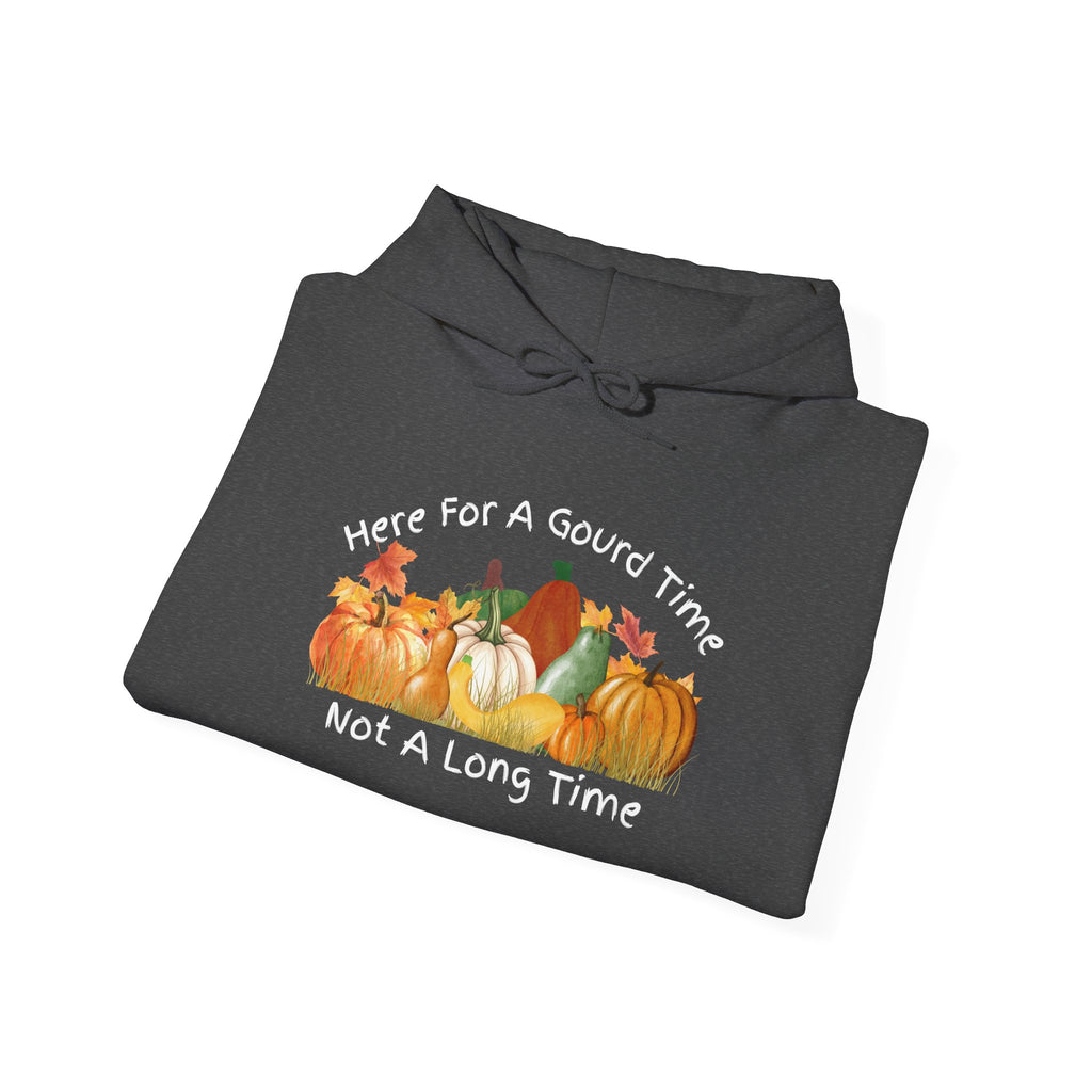 Here for a Gourd Time pumpkin hoodie — product photo 16