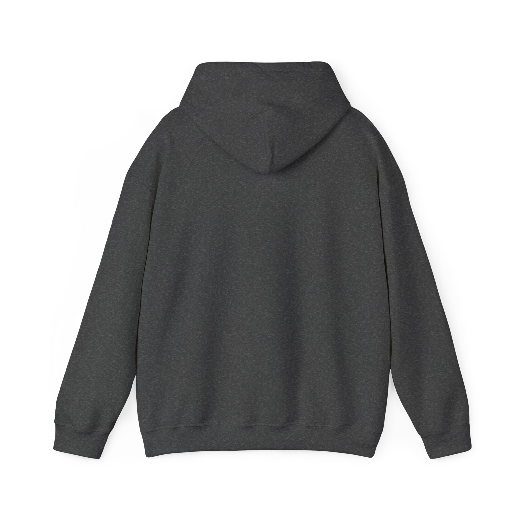 Here for a Gourd Time pumpkin hoodie — product photo 14