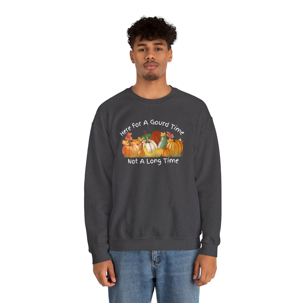 Here for a Gourd Time fall pumpkin crewneck — product photo 21