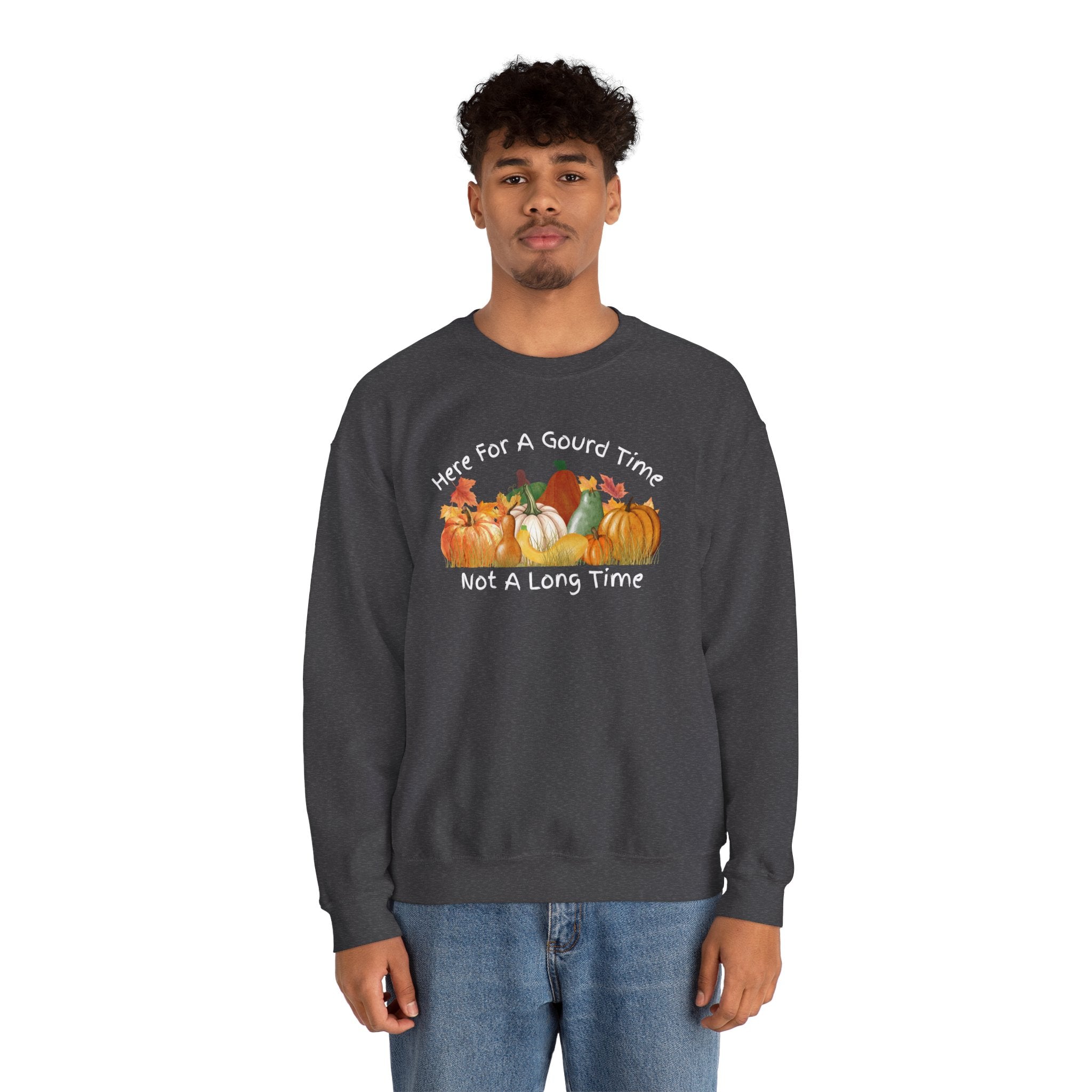 Here for a Gourd Time fall pumpkin crewneck — product photo 21