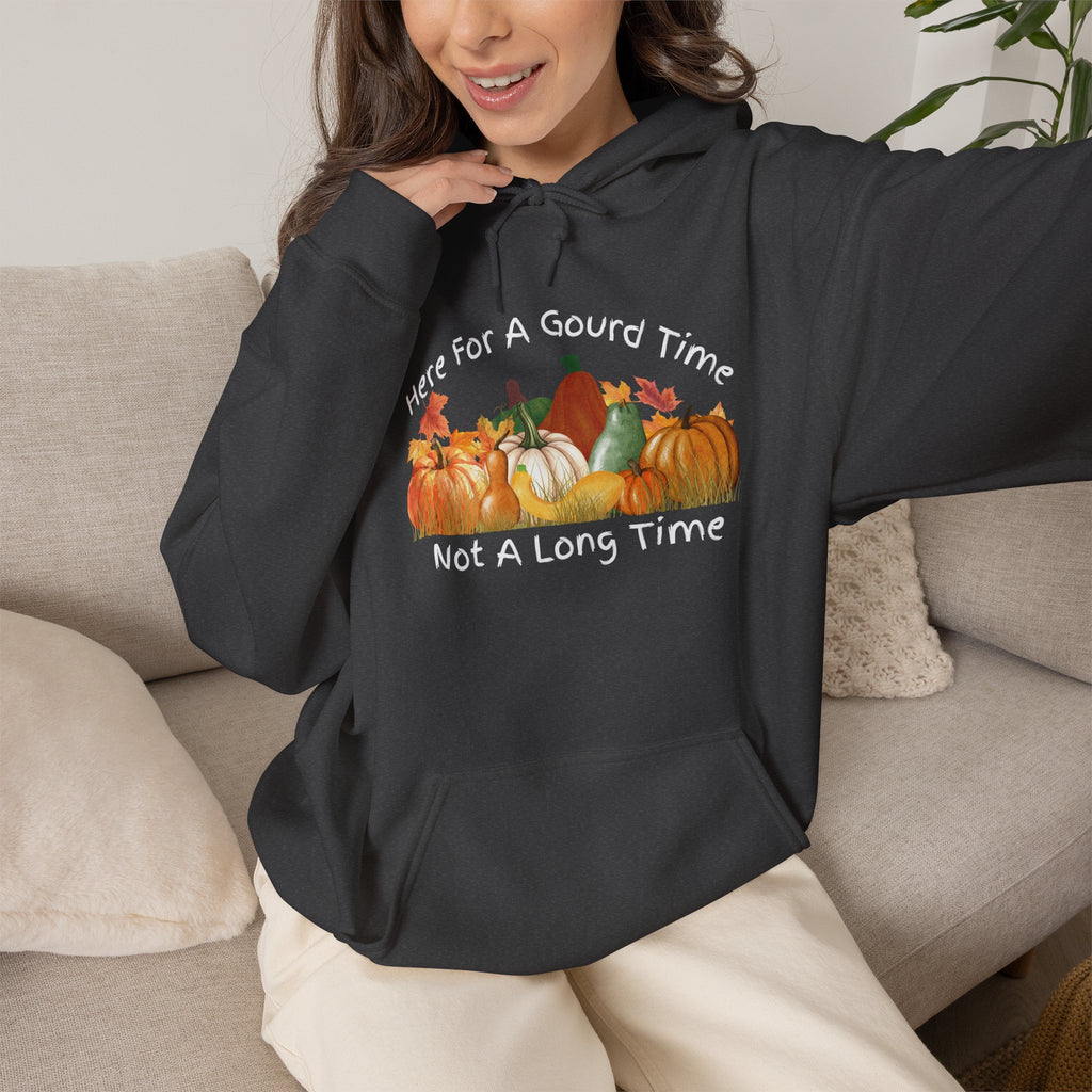 Here for a Gourd Time pumpkin hoodie — product photo 19