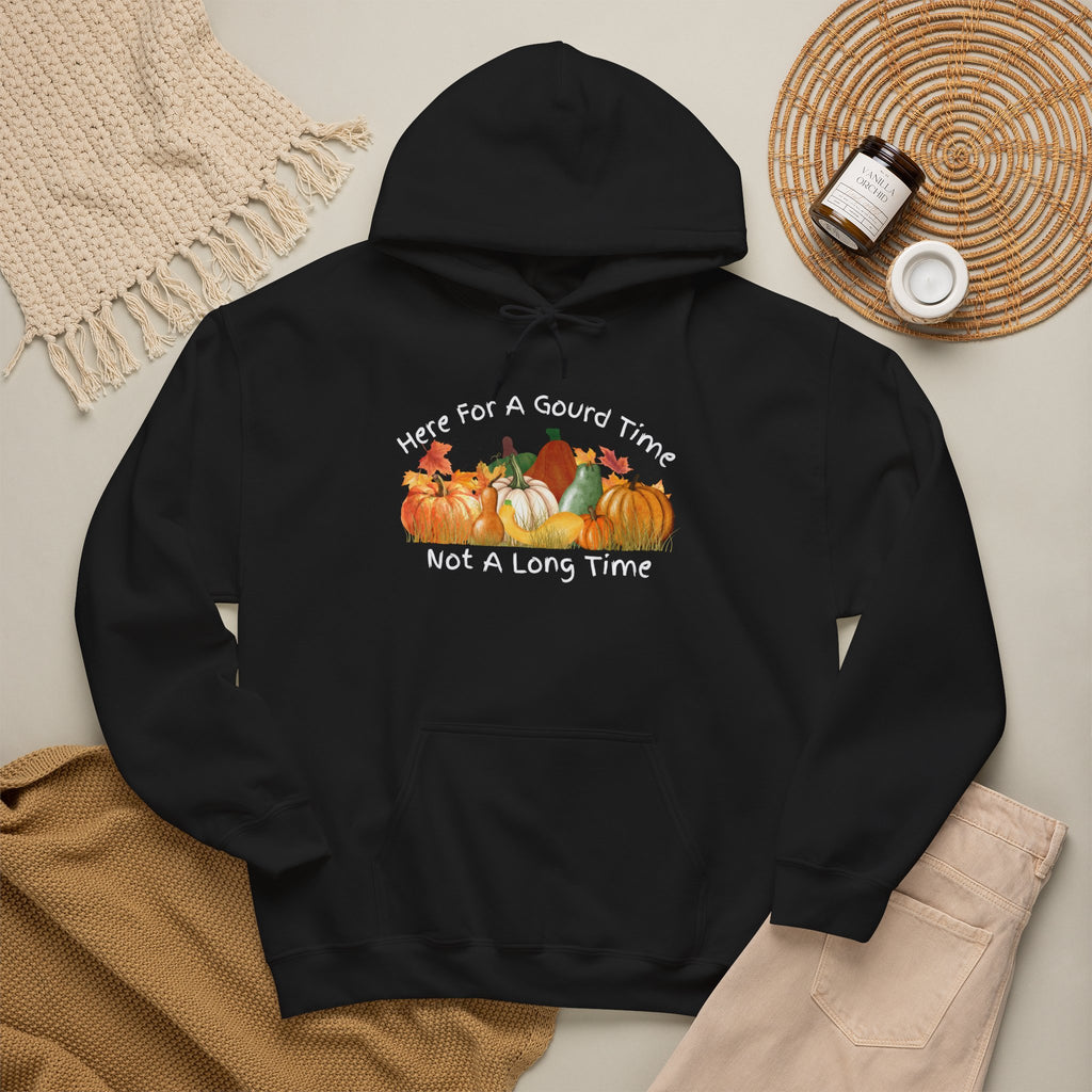 Here for a Gourd Time pumpkin hoodie — product photo 5