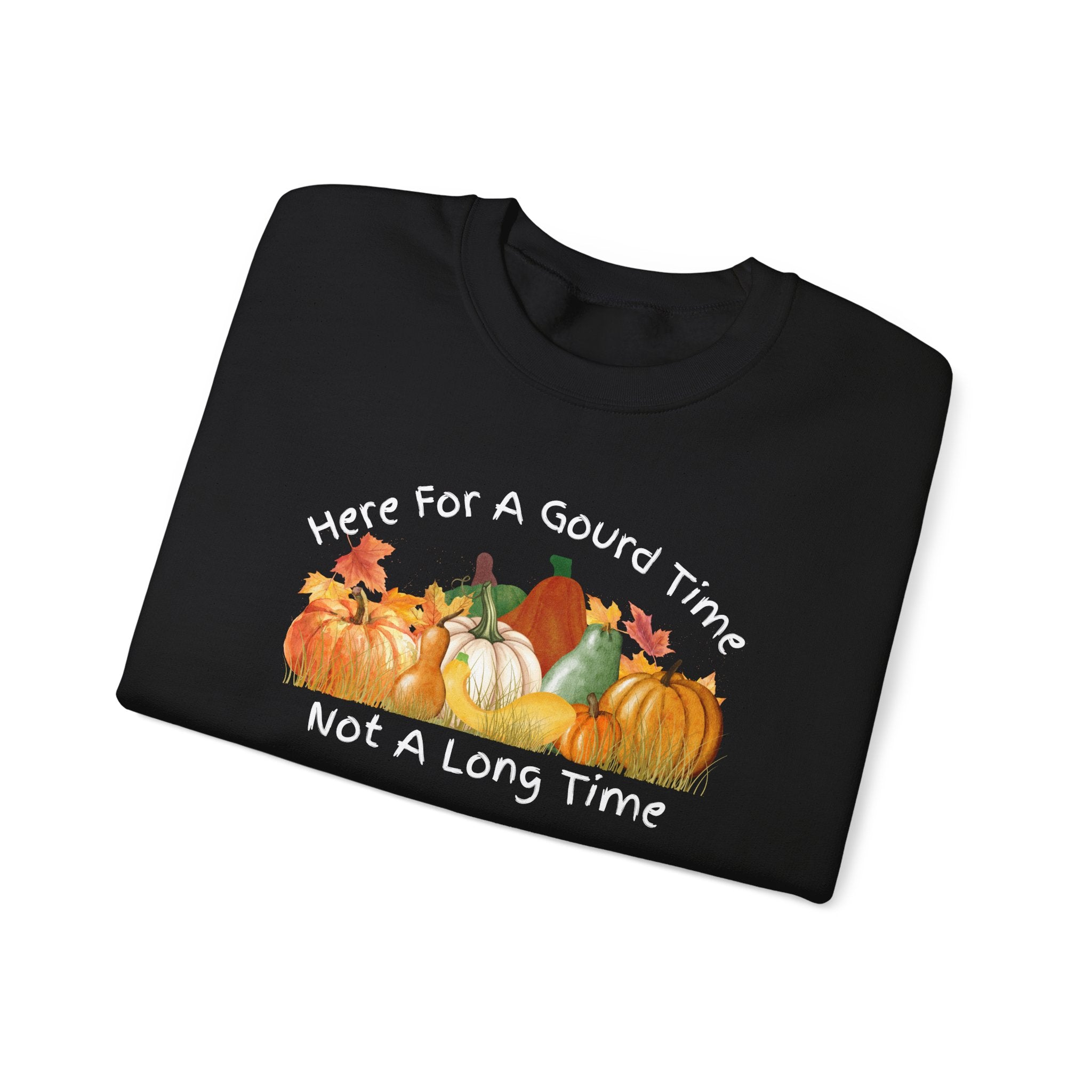 Here for a Gourd Time fall pumpkin crewneck — product photo 5