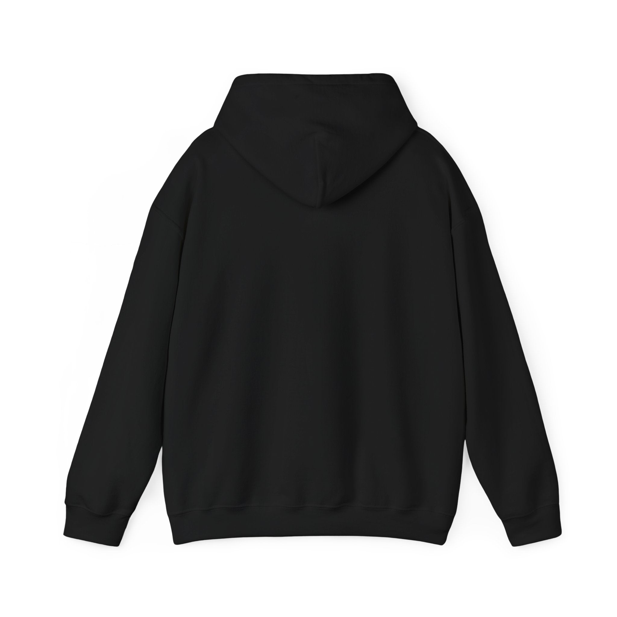 Here for a Gourd Time pumpkin hoodie — product photo 3, pumpkin pun design detail