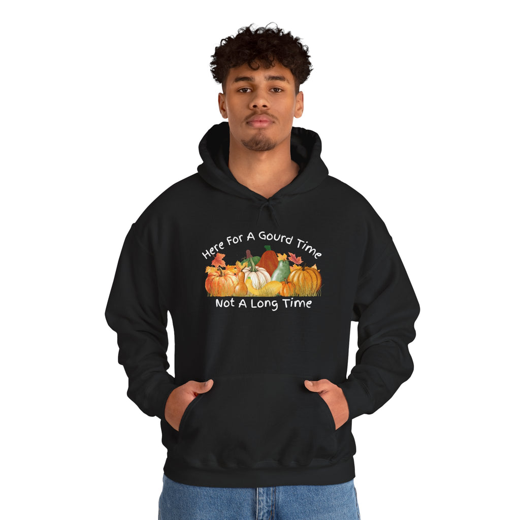Here for a Gourd Time pumpkin hoodie — product photo 8